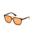 Lunettes de soleil Homme Web Eyewear WE0263-5956J ø 59 mm