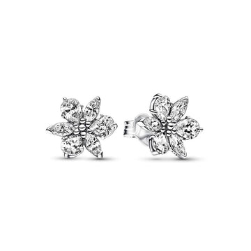 Boucles d´oreilles Femme Pandora 292633C01