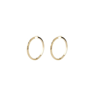 Boucles d´oreilles Femme Guess JUBE04193JWYGT-U