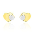 Ladies' Earrings Stroili 14009112