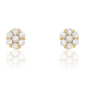 Boucles d´oreilles Femme Stroili 14011047