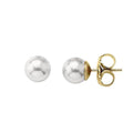 Ladies' Earrings Majorica 00326.01.1.000.701.1