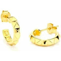 Boucles d´oreilles Femme Radiant RY000214