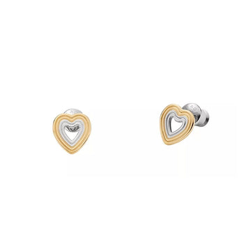 Ladies' Earrings Skagen SKJ1677998