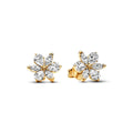 Ladies' Earrings Pandora 262633C01