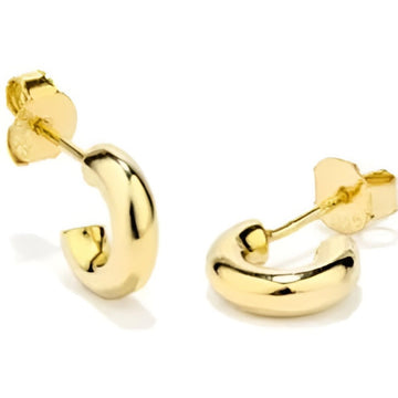 Boucles d´oreilles Femme Radiant RY000224