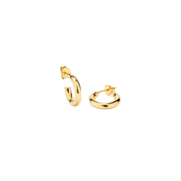 Ladies' Earrings Radiant RY000226