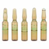 Ampoules Endoncare Tensage Régénérateur (10 x 2 ml)