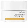Anti-wrinkle Lip Cream Dr. Hauschka Lip Balm 4,5 ml