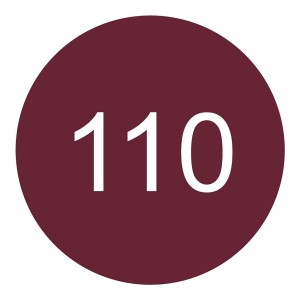 Lip Liner Catrice Plumping Nº 110-Stay Seductive 0,35 g