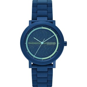 Montre Homme Skagen AAREN...