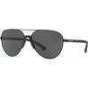 Lunettes de soleil Homme Emporio Armani EA 2059