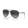 Men's Sunglasses Emporio Armani EA 2145