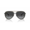Men's Sunglasses Emporio Armani EA 2145