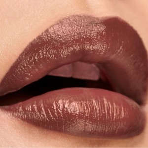 Lip balm Elizabeth Arden Lip Color Nº 05 Ambtous mauve matte Nº 05-Ambtous Mauve Matte 4 g