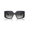 Ladies' Sunglasses Jimmy Choo JC 5006U