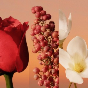 Men's Perfume Calvin Klein 30 ml