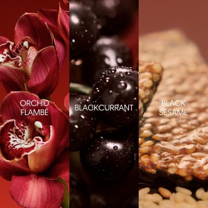 Parfum Femme Calvin Klein EUPHORIA 50 ml