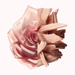 Women's Perfume Givenchy IRRESISTIBLE NUDE VELVET EDP 80 ml