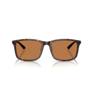 Lunettes de soleil Homme Emporio Armani EA 4241D