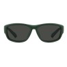 Lunettes de soleil Homme Polaroid PLD 2166_S