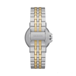 Montre Homme Skagen SKW6921 Argenté (Ø 40 mm)