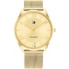 Men's Watch Tommy Hilfiger 1710515 Golden (Ø 43 mm)