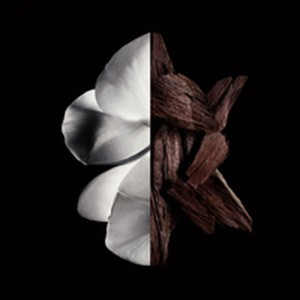 Parfum Femme Givenchy Gentleman Boisée 200 ml