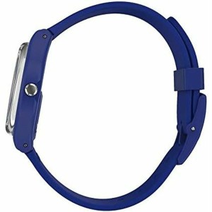 Montre Homme Swatch SILVERWAKATI (Ø 34 mm)