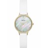 Montre Femme Skagen SKW3138