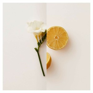 Women's Perfume Burberry My Burberry EDP