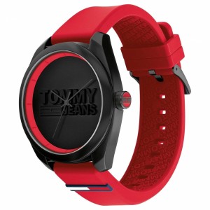 Montre Homme Tommy Hilfiger 1791929 (Ø 45 mm)