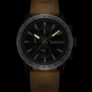 Montre Homme Timberland TDWGF0041541