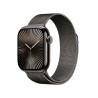 Montre Homme Apple MX053QL/A Gris