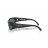 Men's Sunglasses Arnette CATFISH AN 4302