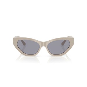 Ladies' Sunglasses Jimmy Choo JC 5022B