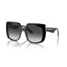 Ladies' Sunglasses Dolce & Gabbana DG 4414