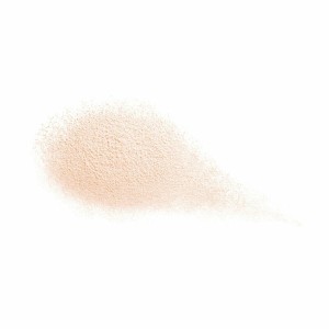 Loose Dust Shiseido Total Radiance