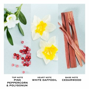 Parfum Femme Marc Jacobs PERFECT EDT 50 ml