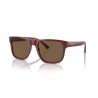 Lunettes de soleil Homme Emporio Armani EA 4163