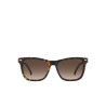 Ladies' Sunglasses Carrera CARRER3001S8 ø 54 mm