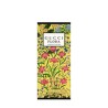 Women's Perfume Gucci Flora by Gucci Gorgeous Orchid EDP 50 ml