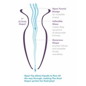 Plug Anal Pipedream Transparent