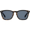 Men's Sunglasses Polaroid PLD 2085_S