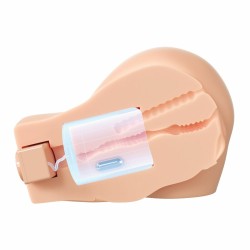 Vortex Dame Rose Pipedream PDX Elite Viande