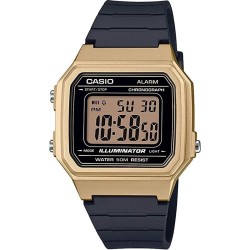 Montre Unisexe Casio...