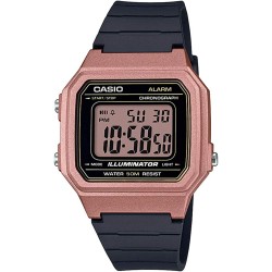 Montre Unisexe Casio...