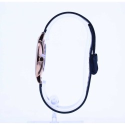 Montre Femme Bering 35036-367 (Ø 35 mm)