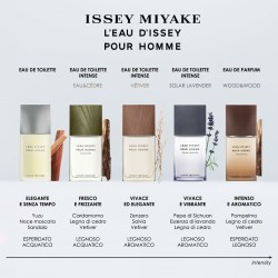 Men's Perfume Issey Miyake Wood & Wood EDP 100 ml