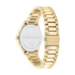 Montre Homme Calvin Klein 25200232